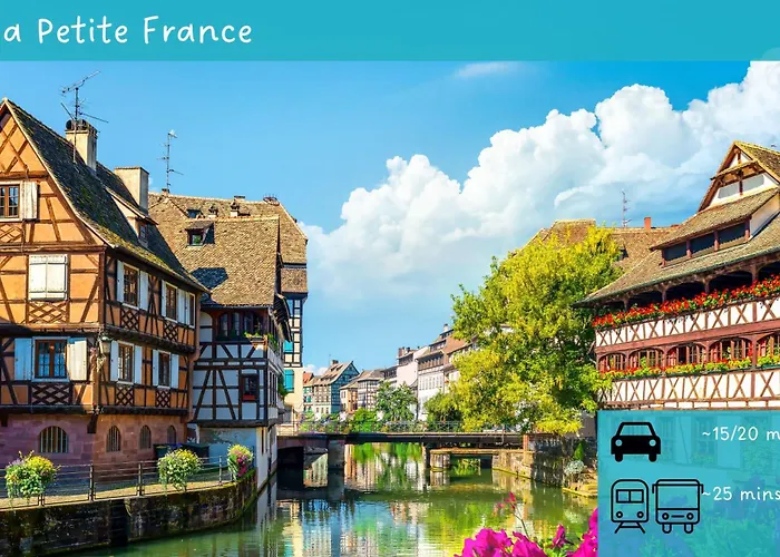 Apartment New F2 Le Chouch'heim 2 Superficie 50 M2 Cosy Et Renove 2025